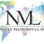 Law Office of Nazly Mamedova logo del despacho