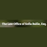 Clic para ver perfil de The Law Office of Sofia Balile, Esq., abogado de Litigio y apelaciones en Brooklyn, NY