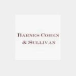 Barnes, Cohen & Sullivan logo del despacho
