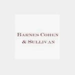 Clic para ver perfil de Barnes Cohen & Sullivan, PA, abogado de ataques de animales en Darien, GA