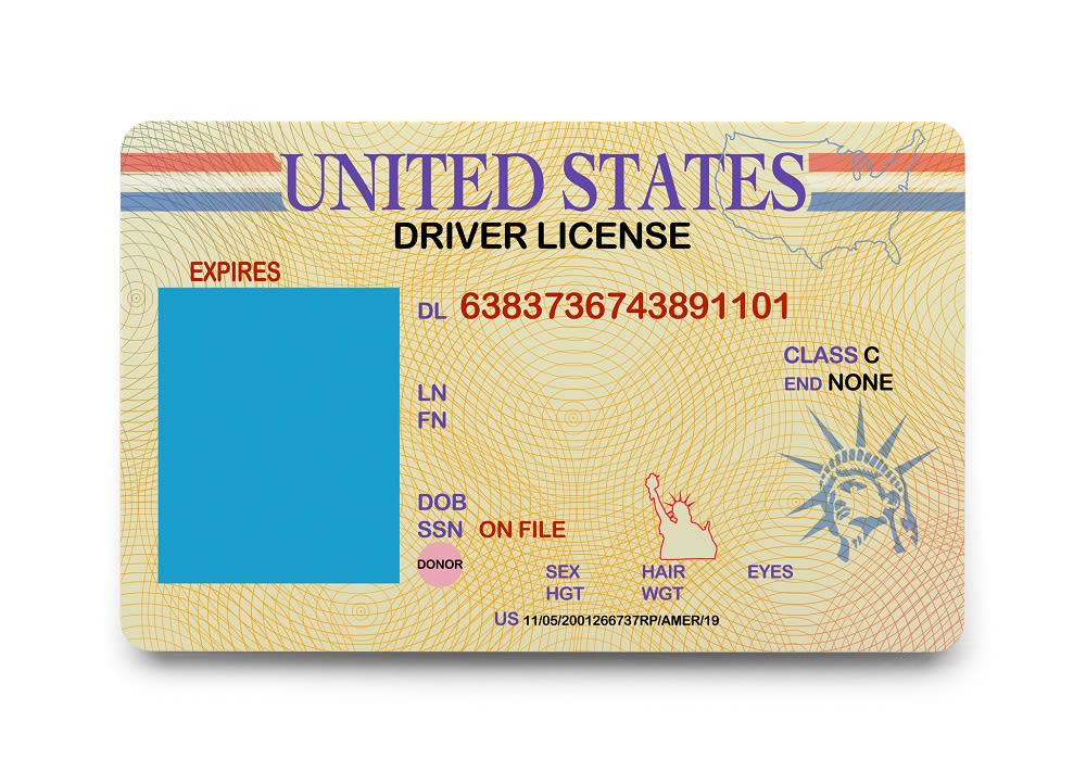 ejemplo de licencia de conducir