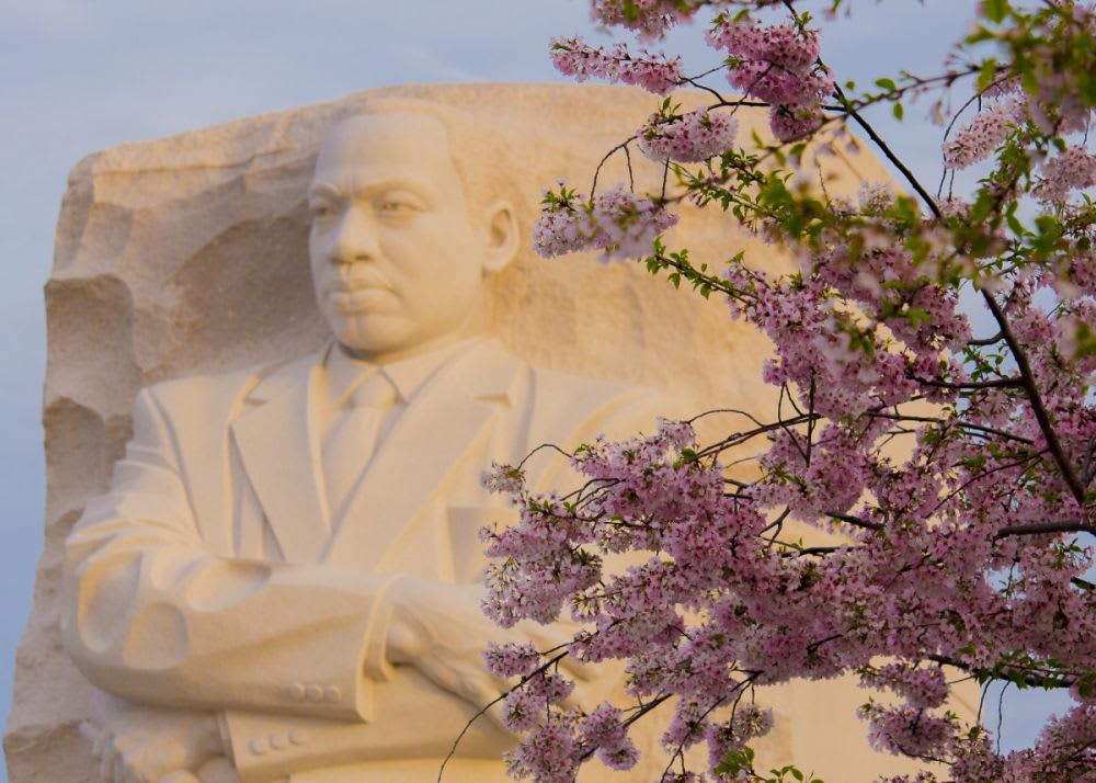 El día de MLK también es reconocido como un día nacional de prestar servicio.